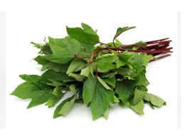 Gongura Leaves (புளிச்ச கீரை)